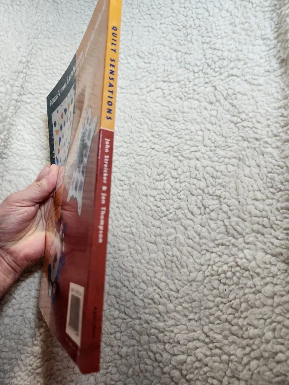 Quilt Sensations John Streicker Jan Thompson Paperback 2000 ISBN 1-55192-254-1 - Picture 10 of 11